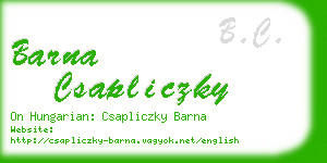 barna csapliczky business card